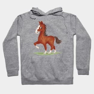 Horse is walking-T Hoodie